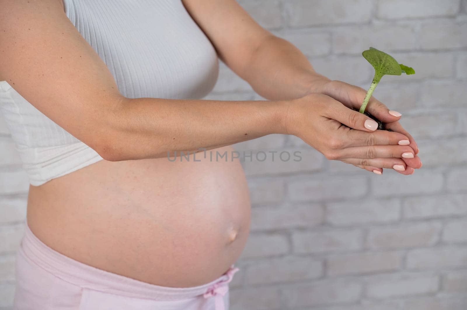 A pregnant woman is holding a sprout. Cropped tummy. by mrwed54