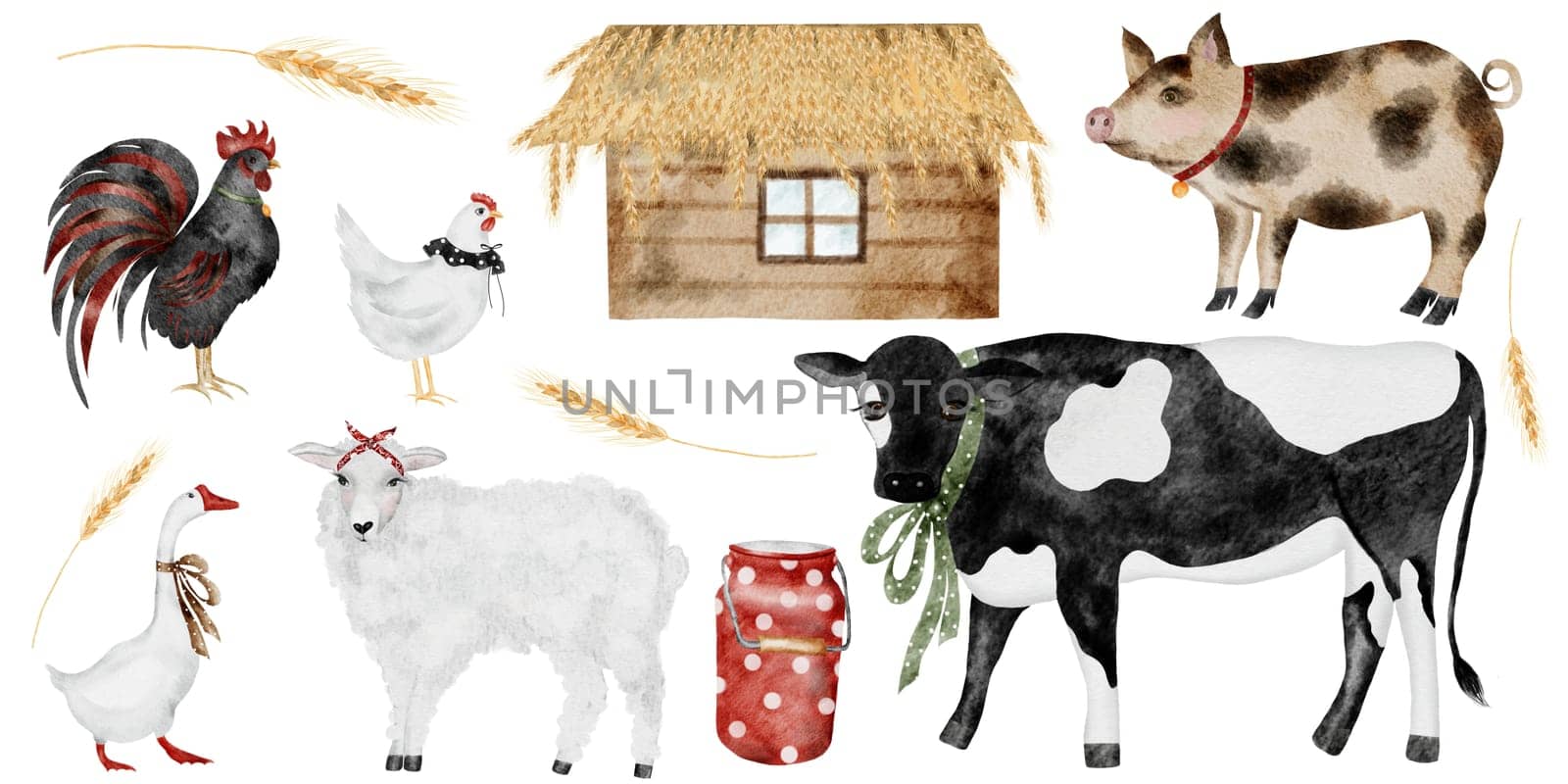 Farm animal watercolor. Hand drawn isolated on white background. Domestic animals cow, pig, sheep, chicken and rooster, goose. Farm house and can, ears of wheat. Ideal for children's learning cards and books. High quality photo