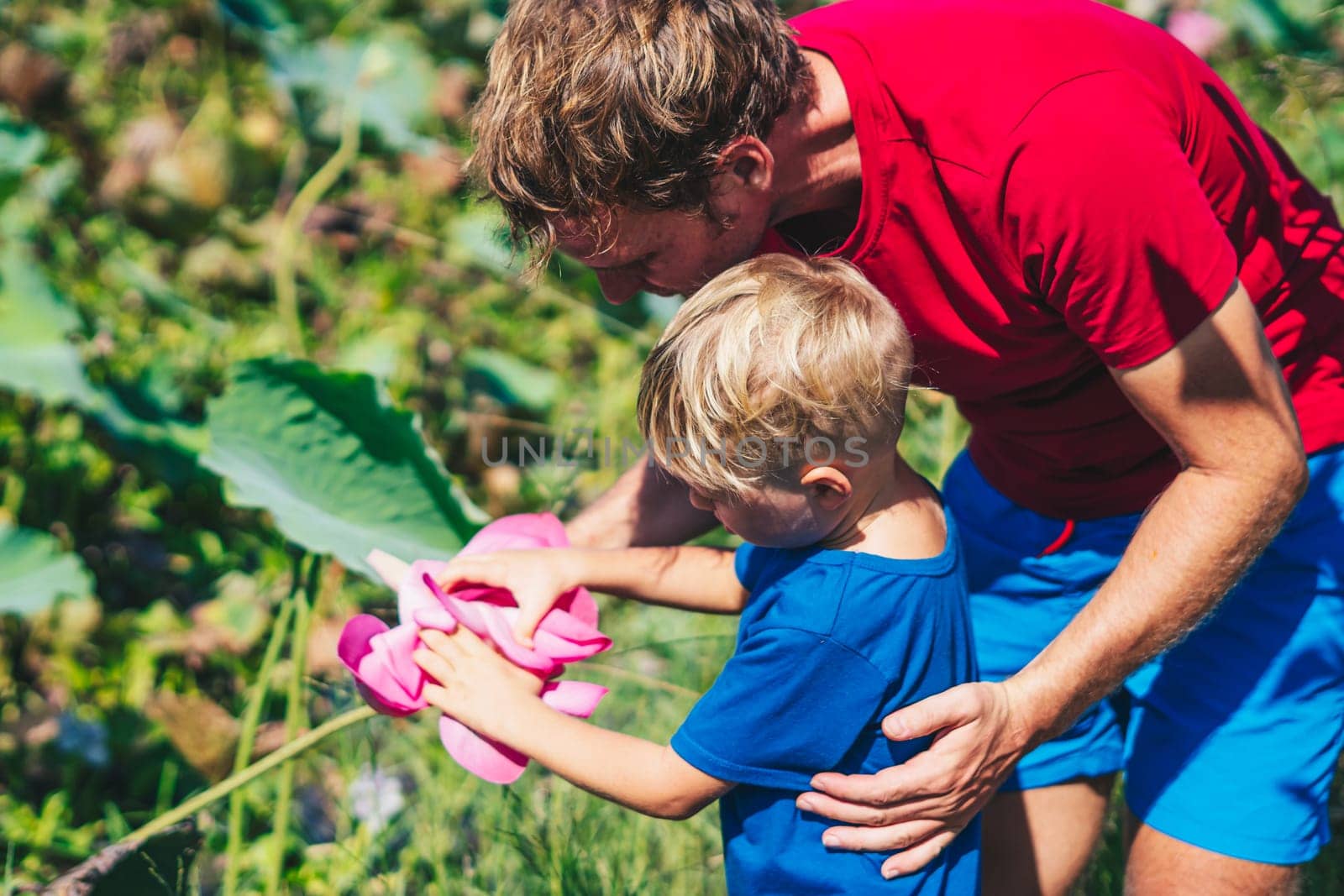Father son study plants, looking on buds flower bud leaves stamens petals. Natural sciences, family education. Happy childhood parenthood harmony.
