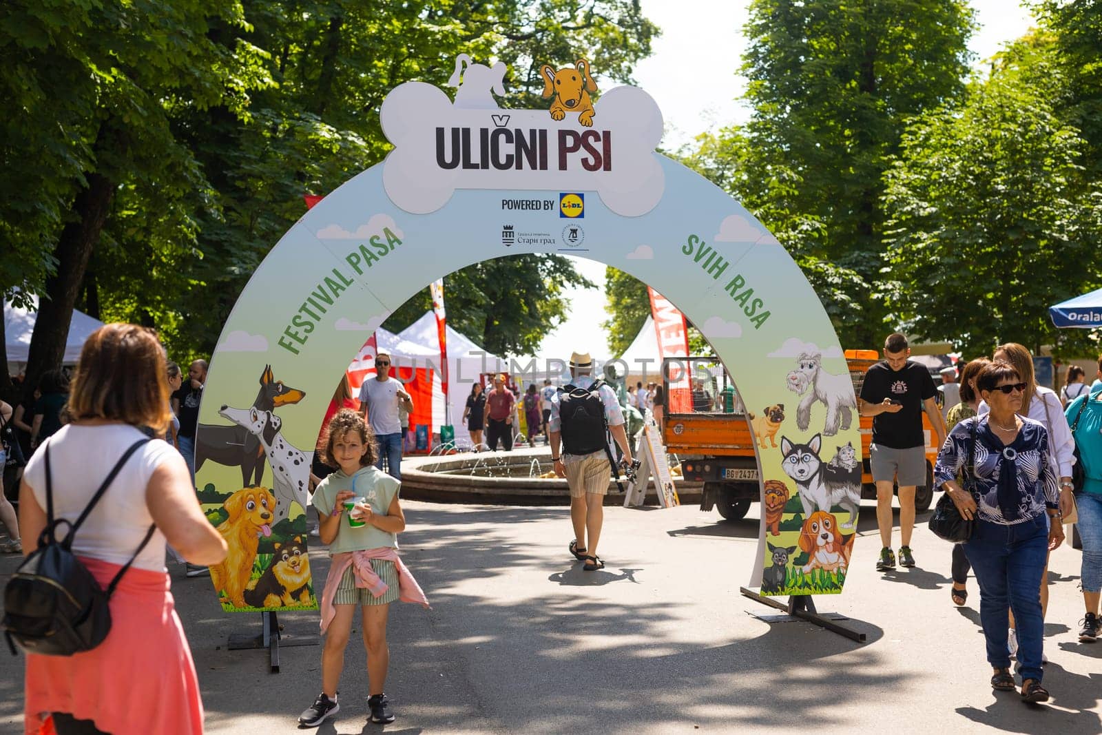 June 18, 2023 Belgrade, Serbia - purebred dogs and street dogs. Pet festival in the city park on a bright sunny day in Kalemegdan park. Dog show