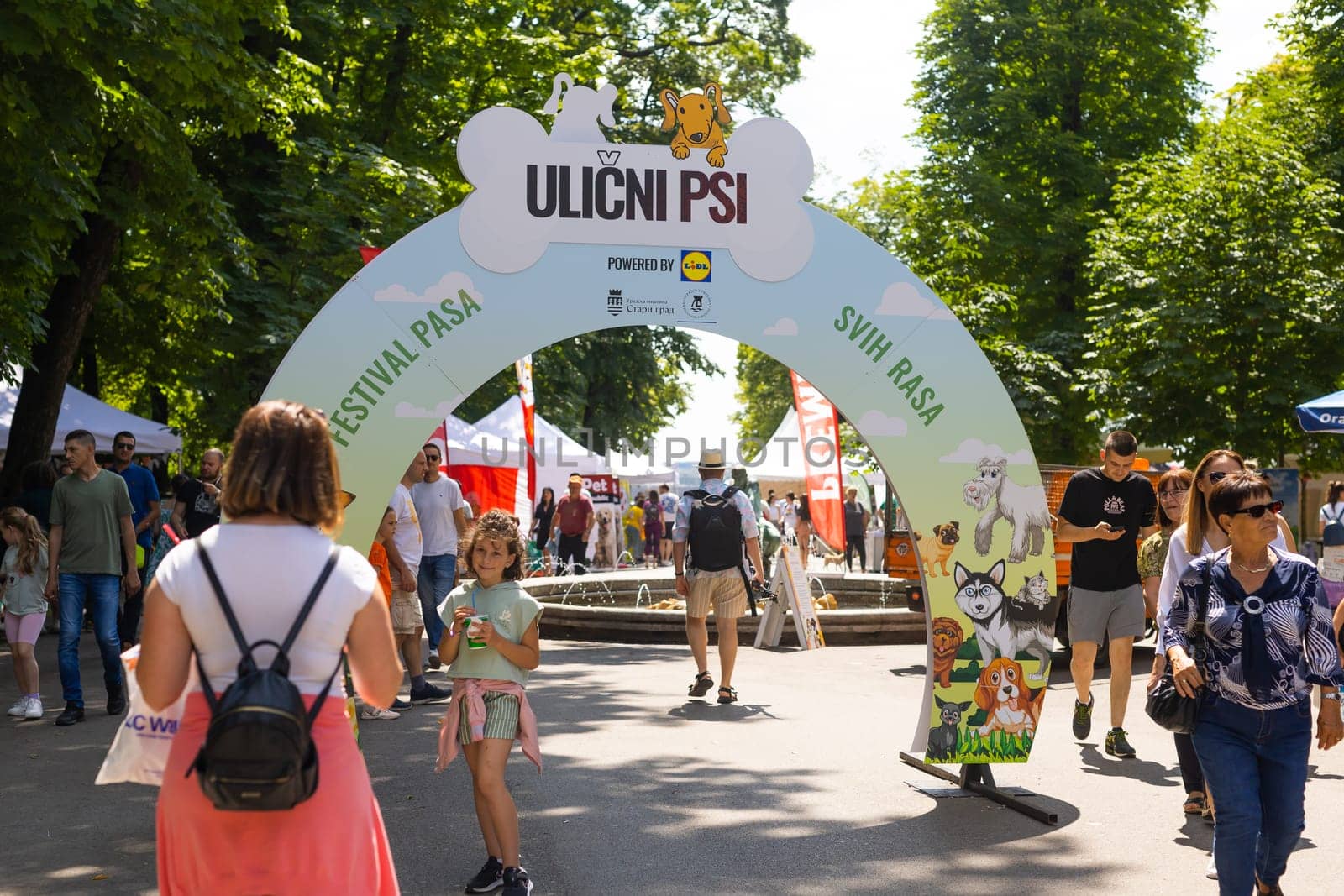 June 18, 2023 Belgrade, Serbia - purebred dogs and street dogs. Pet festival in the city park on a bright sunny day in Kalemegdan park. Dog show. by Satura86