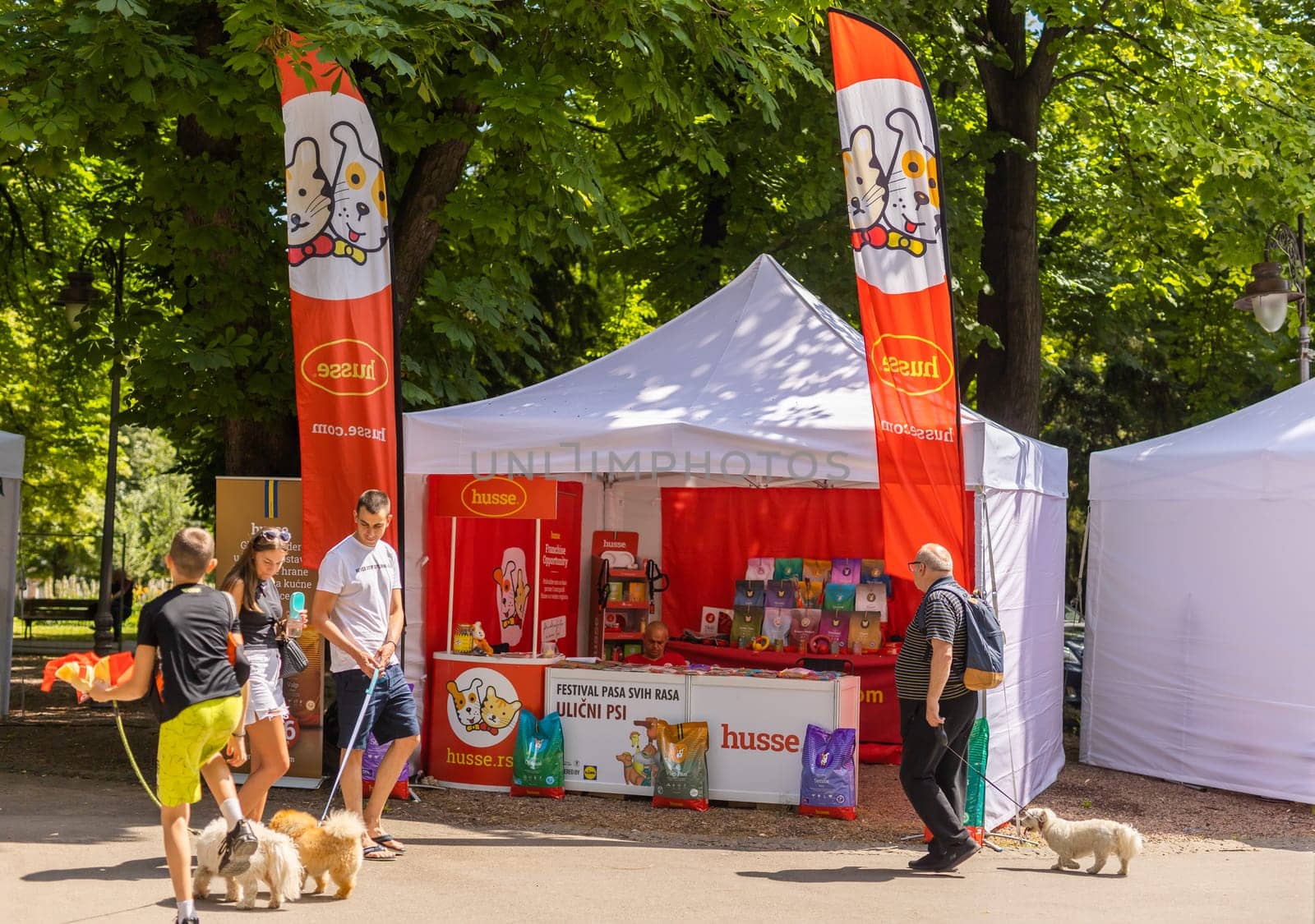 June 18, 2023 Belgrade, Serbia - purebred dogs and street dogs. Pet festival in the city park on a bright sunny day in Kalemegdan park. Dog show