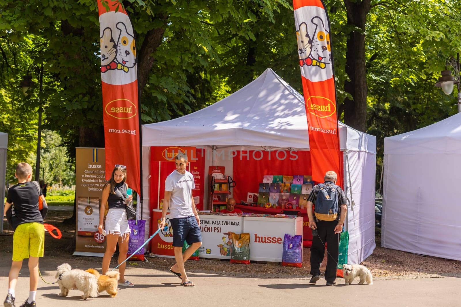 June 18, 2023 Belgrade, Serbia - purebred dogs and street dogs. Pet festival in the city park on a bright sunny day in Kalemegdan park. Dog show. by Satura86