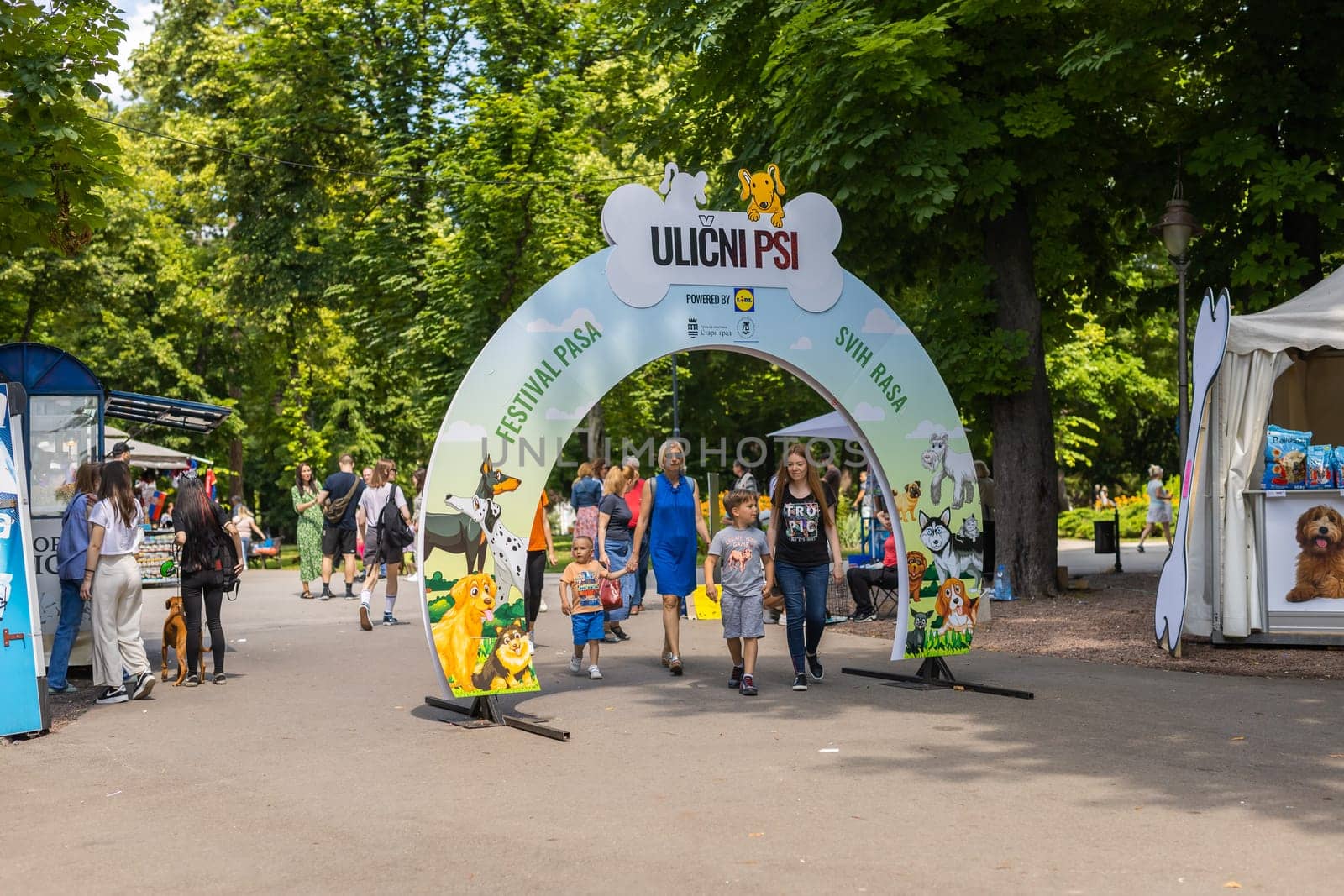 June 18, 2023 Belgrade, Serbia - purebred dogs and street dogs. Pet festival in the city park on a bright sunny day in Kalemegdan park. Dog show