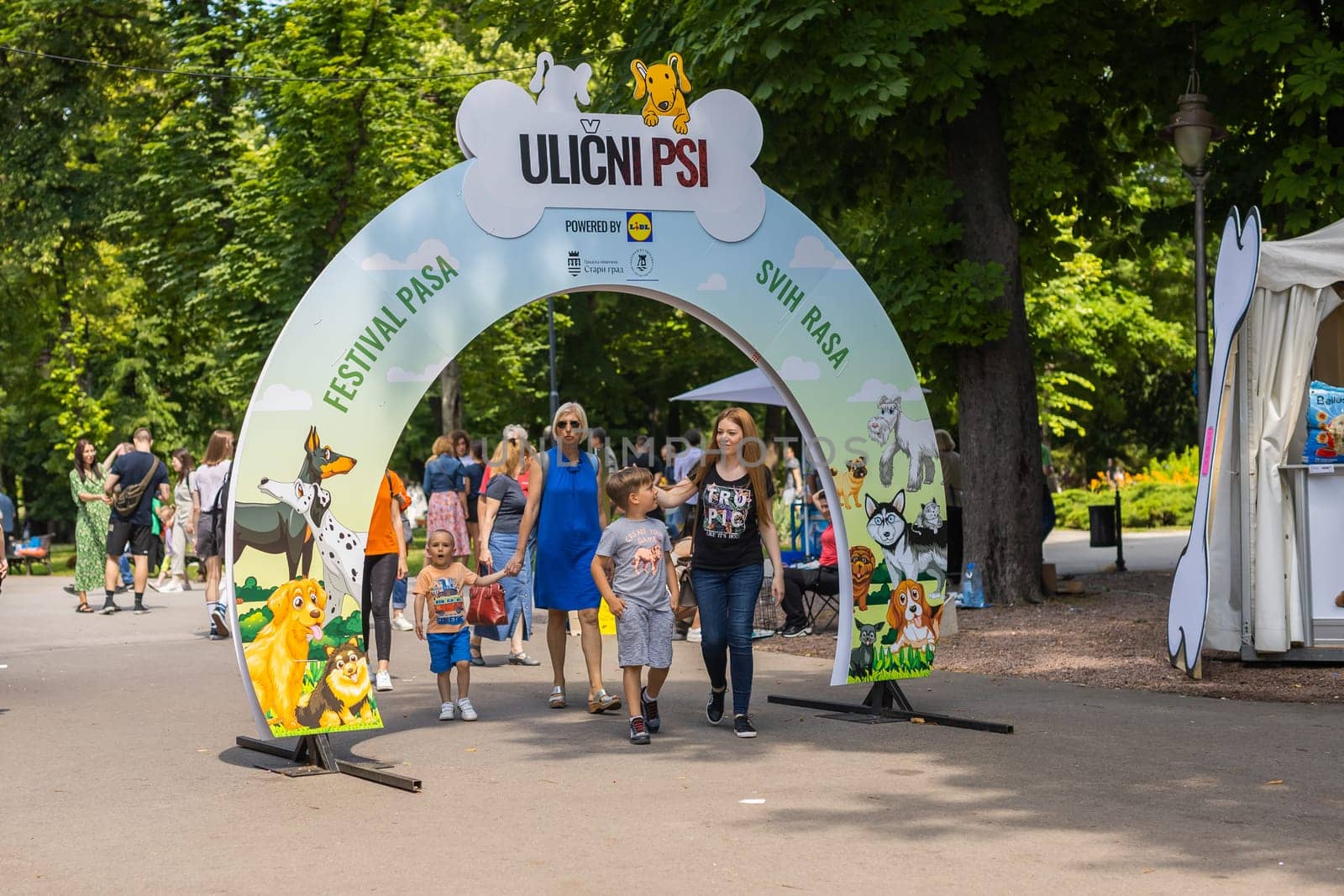 June 18, 2023 Belgrade, Serbia - purebred dogs and street dogs. Pet festival in the city park on a bright sunny day in Kalemegdan park. Dog show