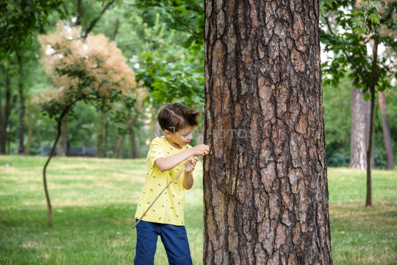 Boy 7-9 years old white Caucasian looks attentively at the tree while standing in the forest near a beech tree in early summer or spring by Kobysh