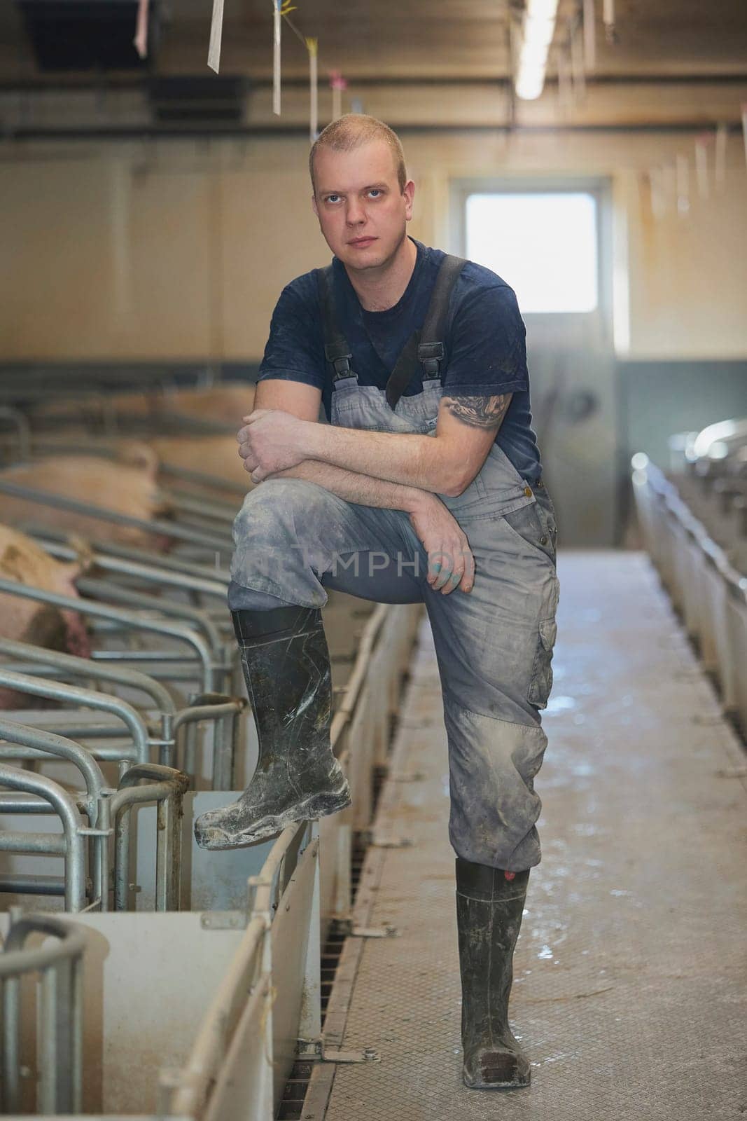 Ringkobing, Denmark, April 28, 2024: Worker at a modern pig farm by Viktor_Osypenko