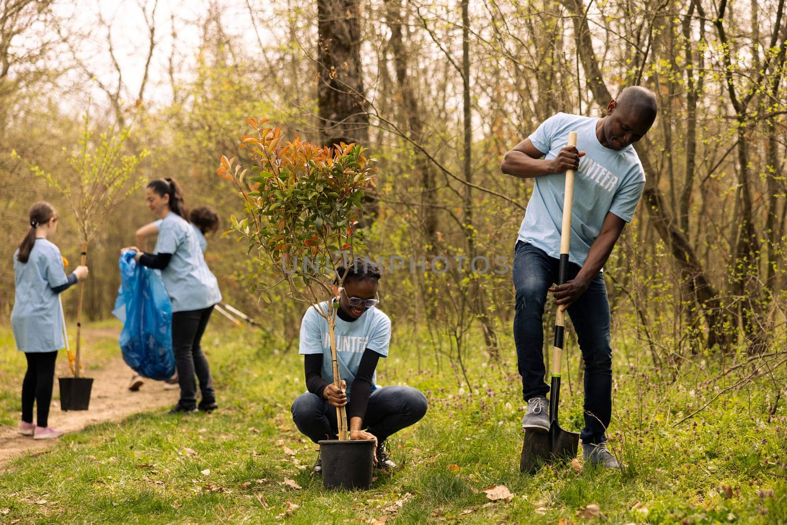 African american ecologic activists planting small trees in a forest by DCStudio