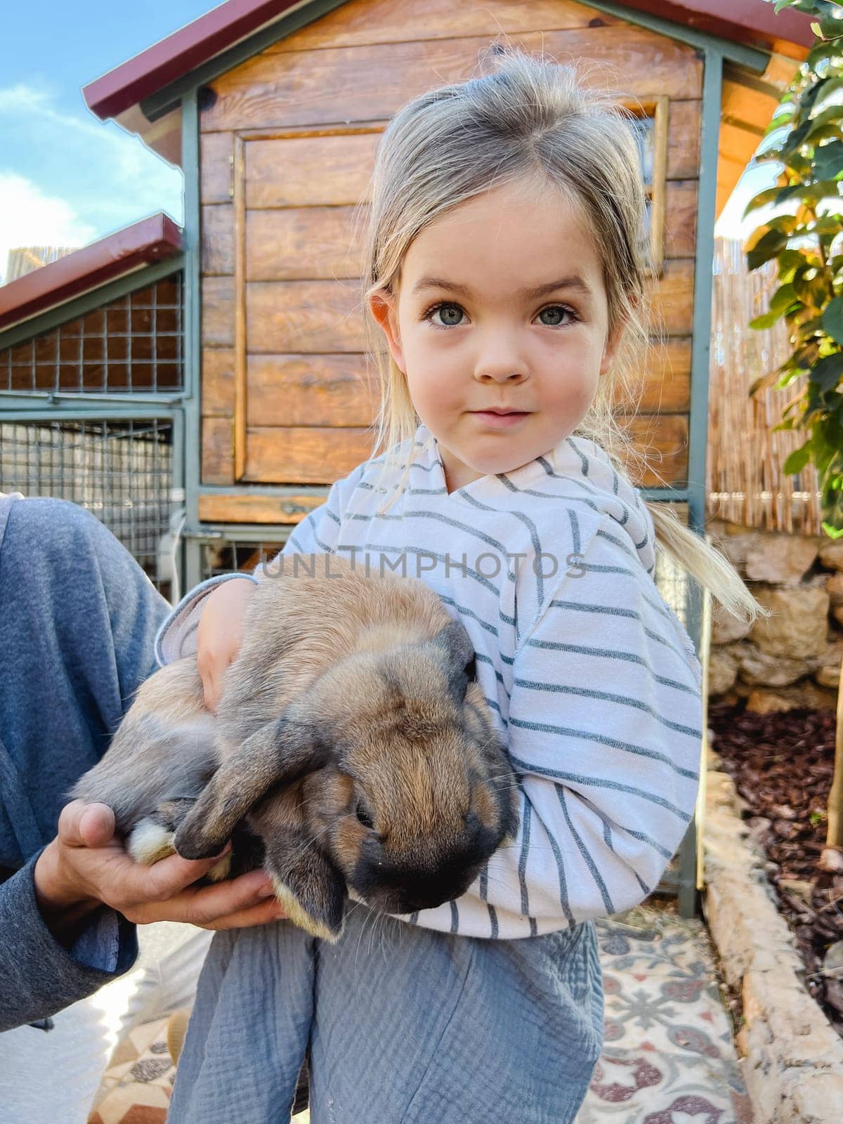 Little girl with a big rabbit in her arms stands near a wooden shed on a farm by Nadtochiy