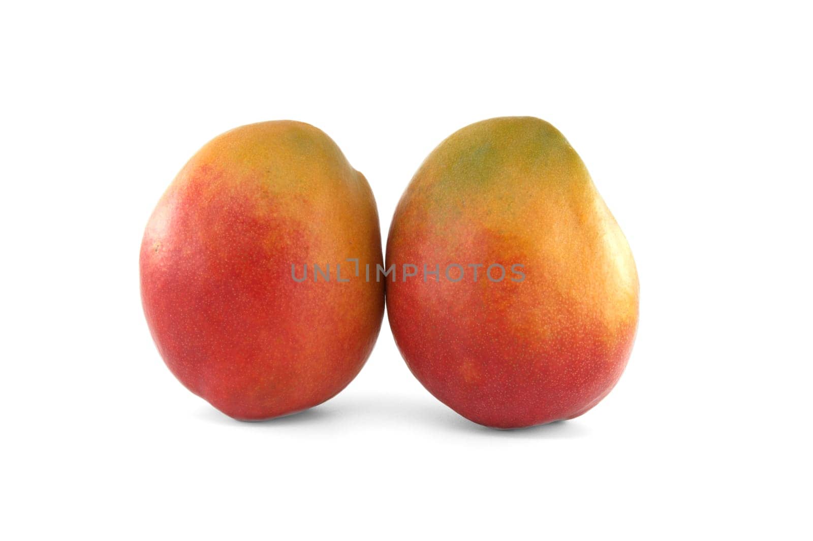 Two ripe vibrant colors mango fruits isolated on white background by NetPix