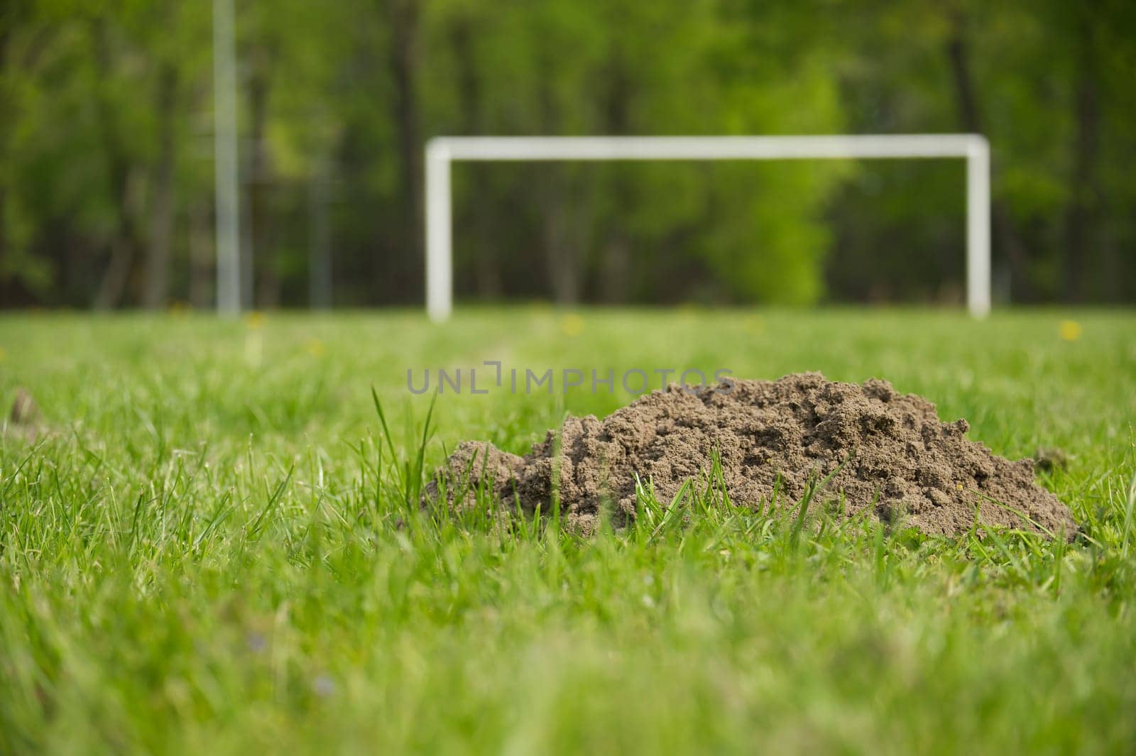 Soccer field with a goalpost in the background and a large mole hole situated in the foreground