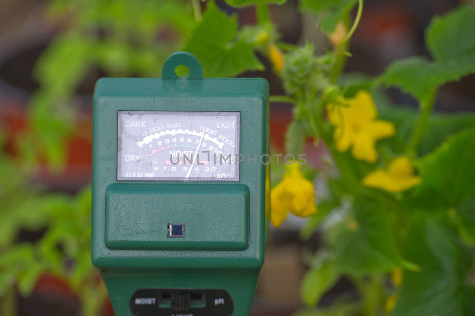 Three way meter PH, light and moisture in the soil by NetPix