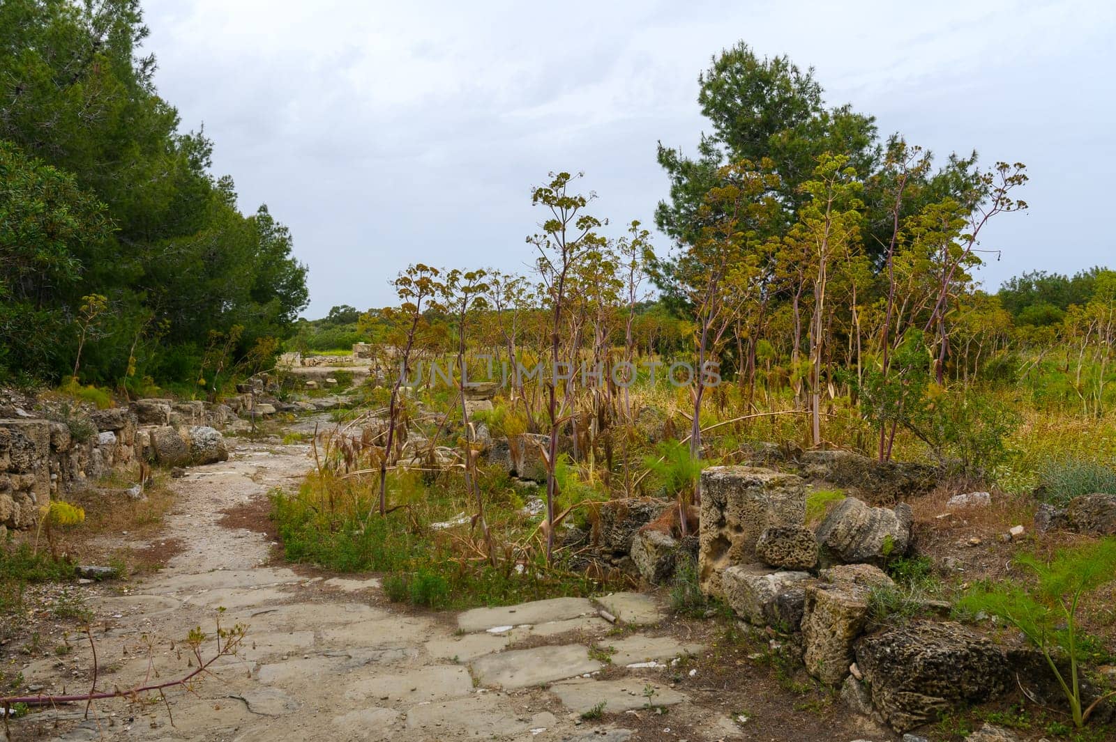 Salamis, Cyprus - April 16, 2024 abandoned excavations in an ancient ruined city, Cyprus. bad attitude towards historical monuments by Mixa74