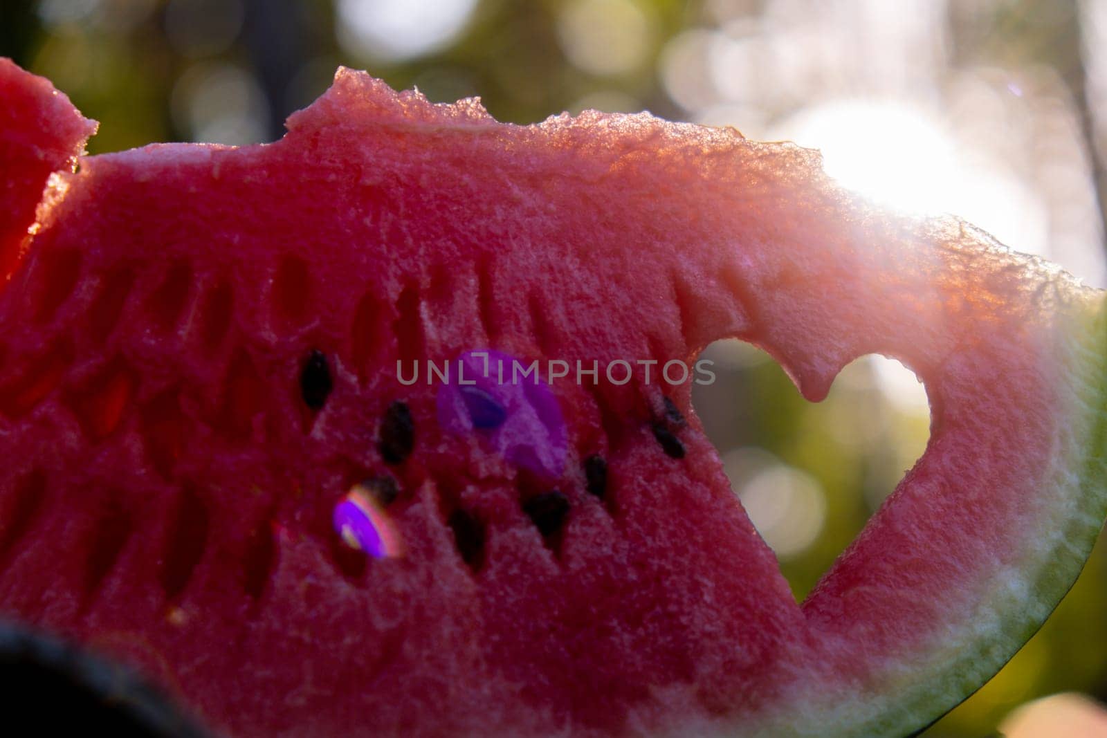 Summer seasonal food. Juicy red watermelon slice cut in heart shape outdoors summertime holidays sunbeams. Concept of enjoying the moment in fresh air. Sustainable calm lifestyle pastoral life cottagecore escapism