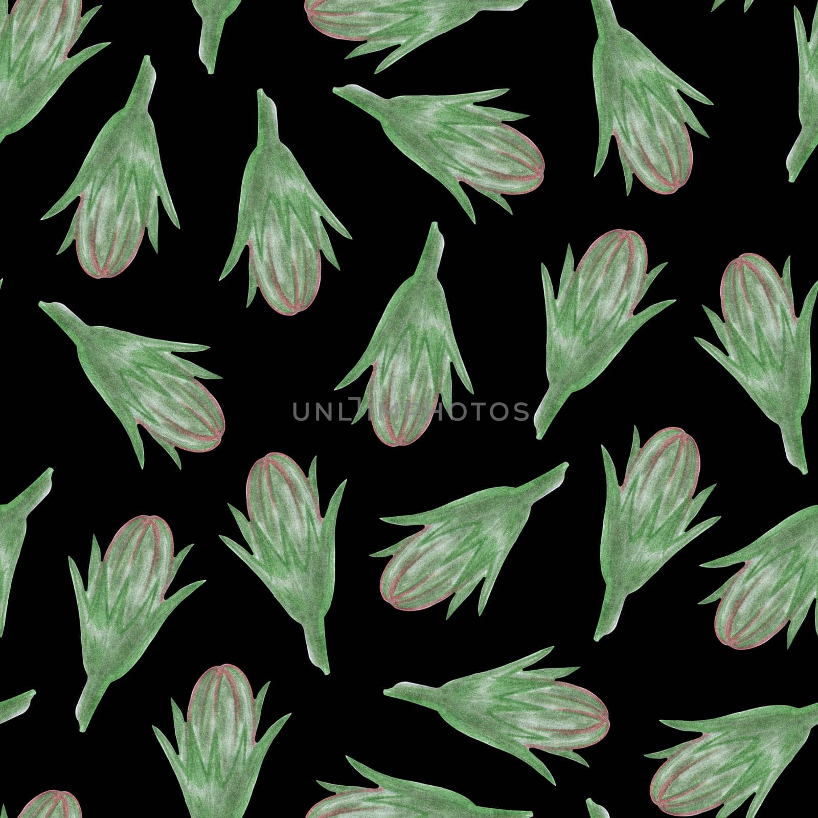 Simple Cornflower Floral Bud Seamless Pattern on a Black Background. Hand Drawn Simple Cornflower Bud Digital Paper. Wild Meadow Flowers Drawn by Colored Pencils.