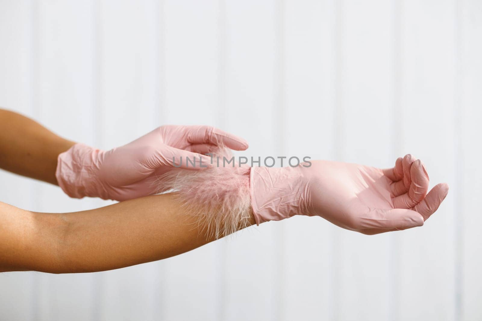 Feather to female hand on white background. Concept of lightness easing and cleanliness. Hand Skin Care. Woman Hands With Soft Feather. Body Care