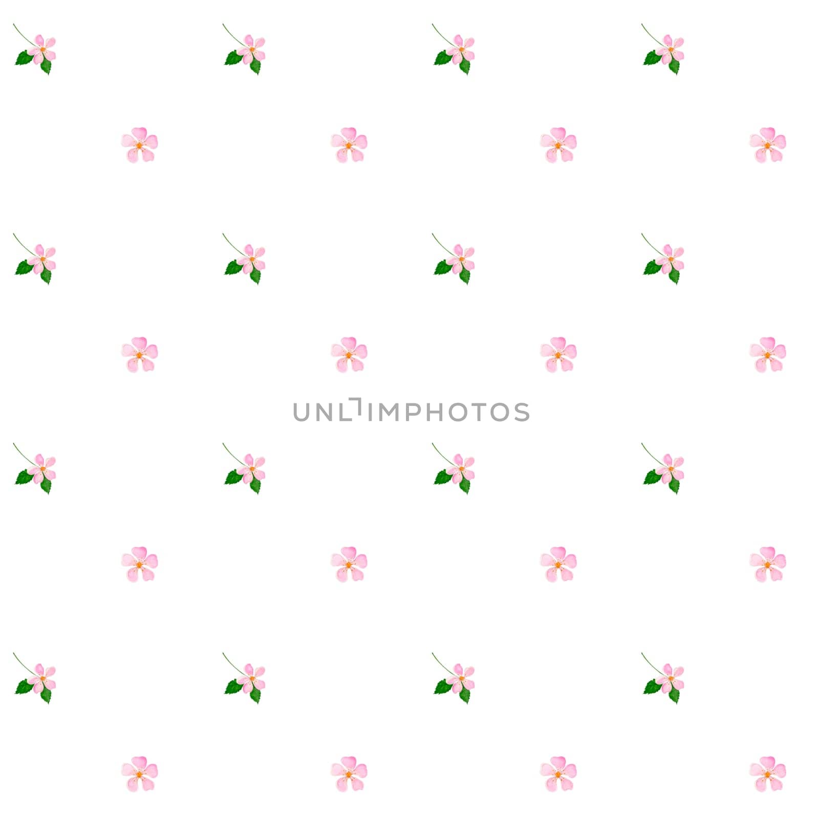 Watercolor floral pattern. Seamless illustration of pink blossoms on a white background. Delicate minimalistic design. For printing on textiles and cosmetics packaging. High quality photo