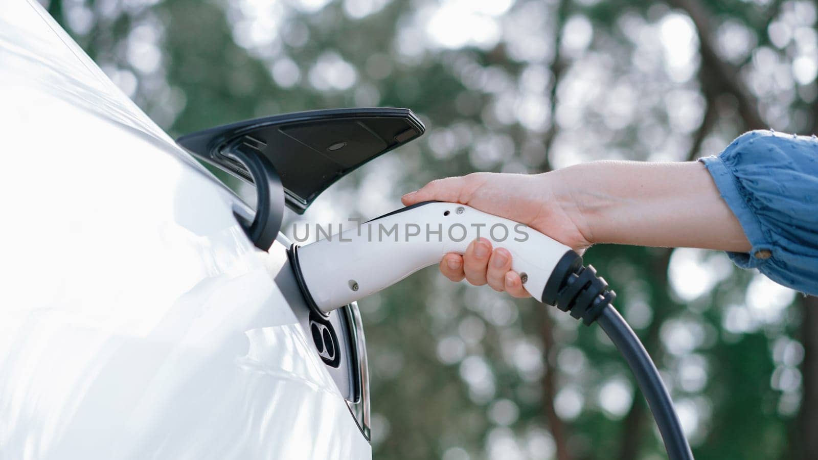 Closeup woman recharge EV electric car's battery at parking lot in natural green park. Clean energy technology for rechargeable vehicle for sustainable and eco friendly travel. Perpetual