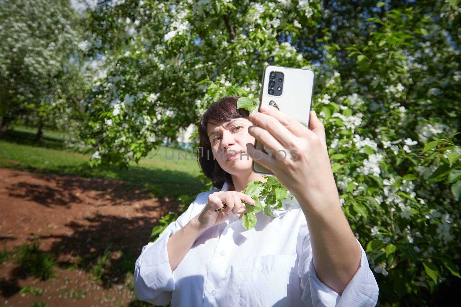 Brunette girl Using Smartphone in Blossoming Orchard at Springtime. Middle aged Woman taking selfie by phone among spring blossoms of apple trees