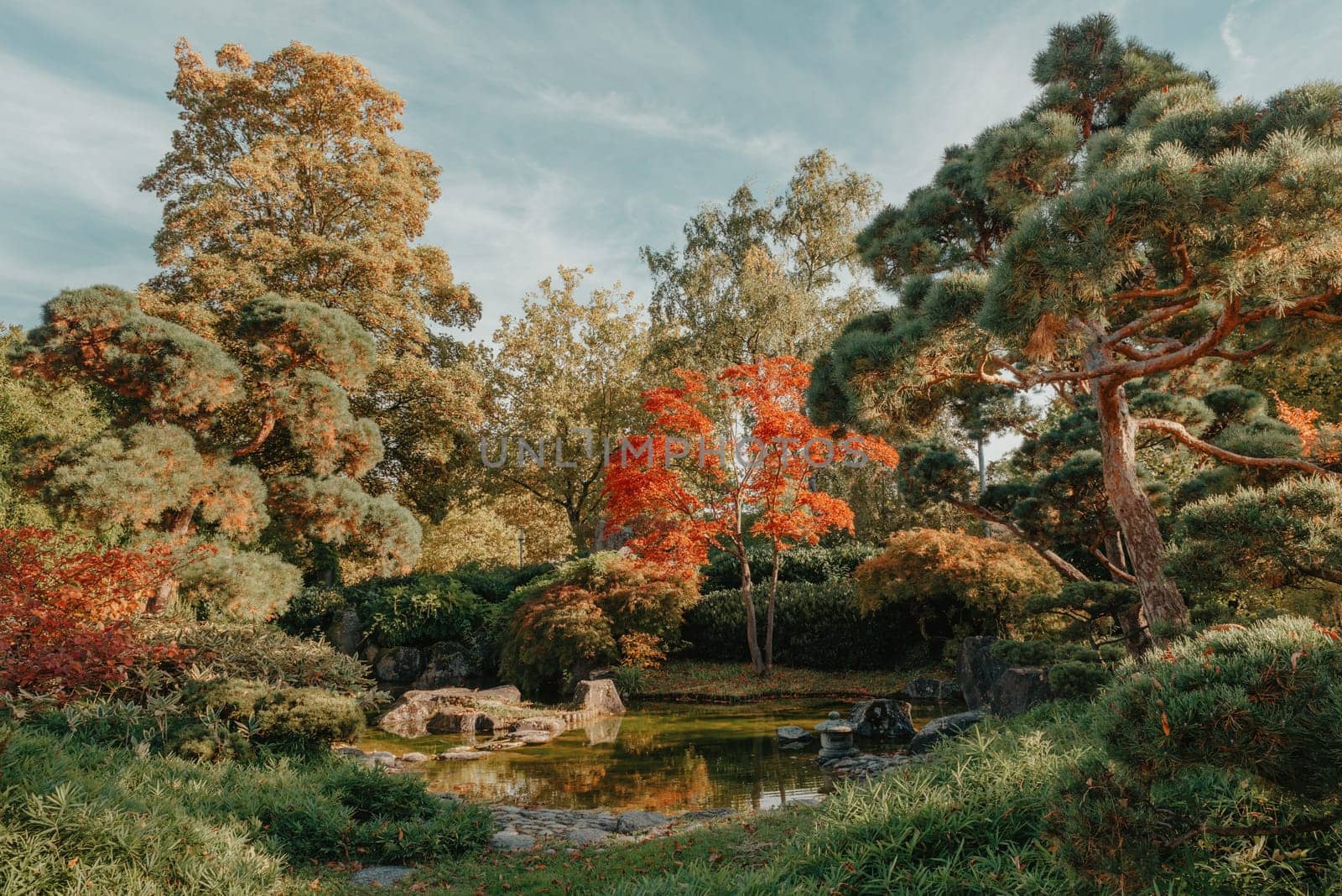 Beautiful Japanese Garden and red trees at autumn seson. A burst of fall color with pond reflections.