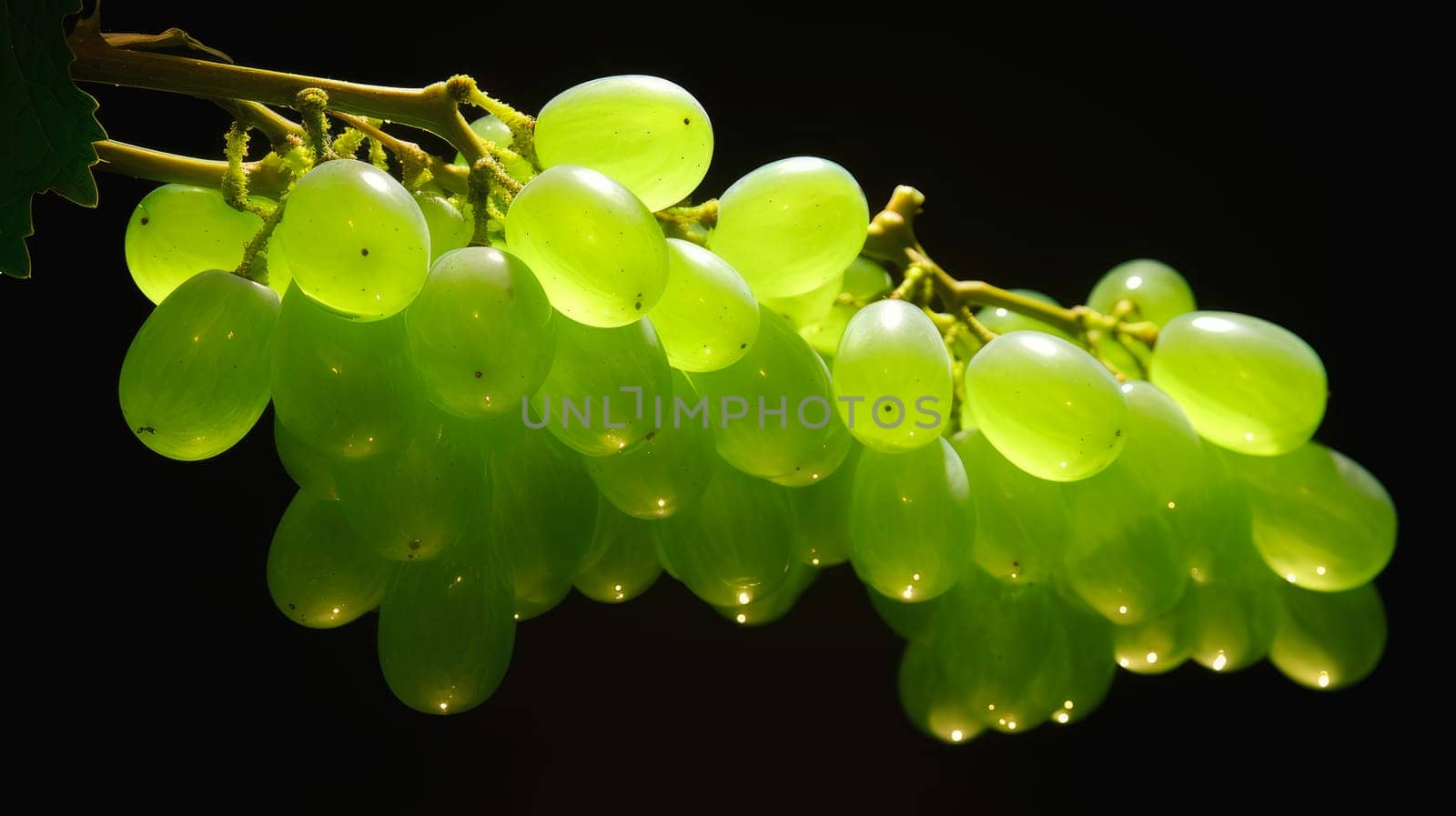 closeup of seedless green Shine Muscat grape background by Alla_Yurtayeva