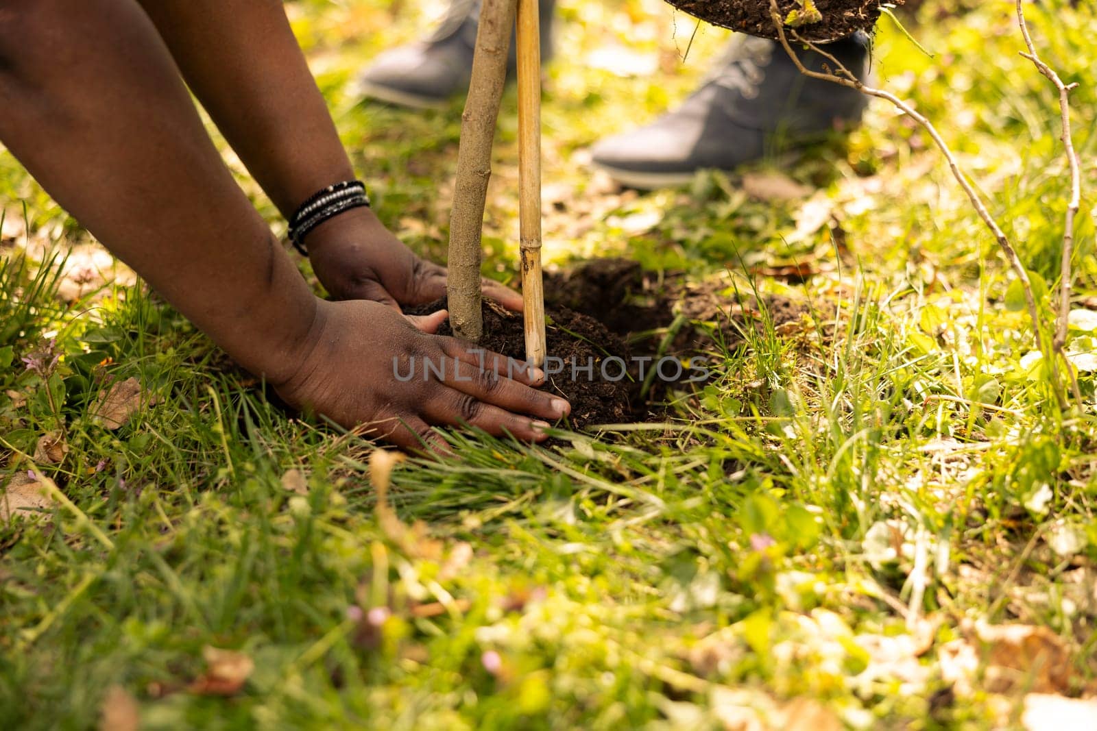 Man and woman volunteers covering hole by planting a tree by DCStudio