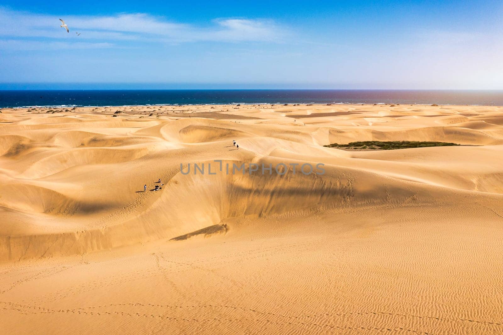 View of the Natural Reserve of Dunes of Maspalomas, in Gran Canaria, Canary Islands, Spain. Beautiful view of Maspalomas Dunes on Gran Canaria, Canary Islands, Spain.