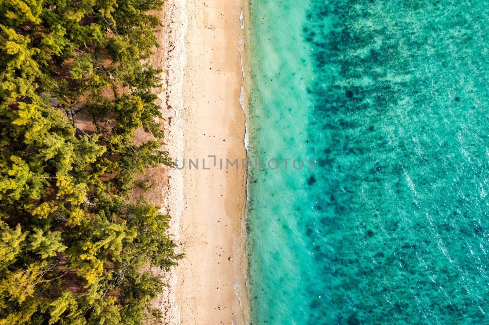 Beautiful Mauritius island with beach Flic en flac. Coral reef around tropical palm beach, Flic en Flac, Mauritius. Aerial view of a beautiful beach along the coast in Flic en Flac, Mauritius.