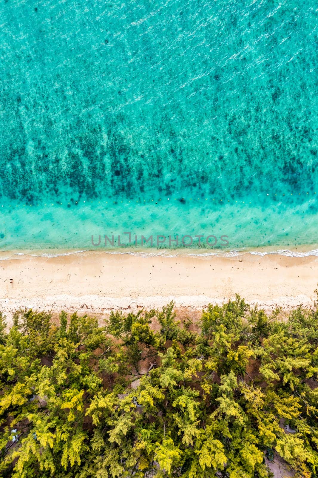 Tropical beach scenery, vacation in paradise island Mauritius. Dream exotic island, tropical paradise. Best beaches of Mauritius island, luxury resorts of Mauritius, Indian Ocean, Africa.