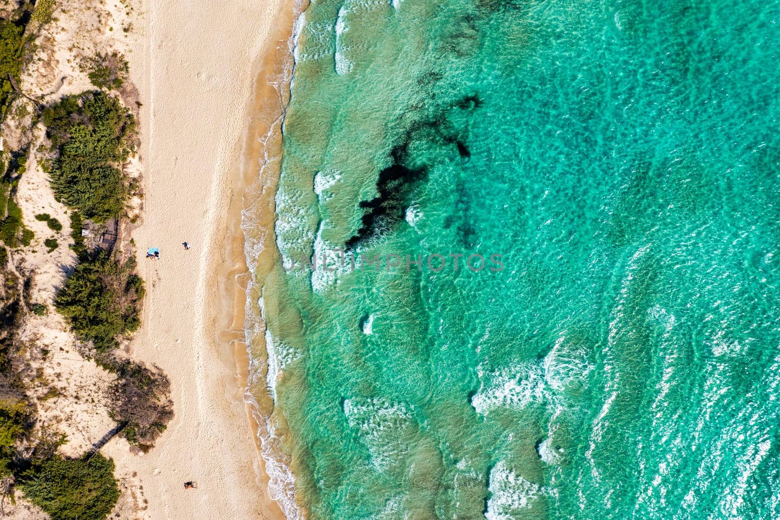 Punta Prosciutto azure sea water, crystal clear water on beach Punta Prosciutto, Italian Maldives Puglia Italy. Punta Prosciutto in Apulia, one of the most beautiful beaches of Italy.