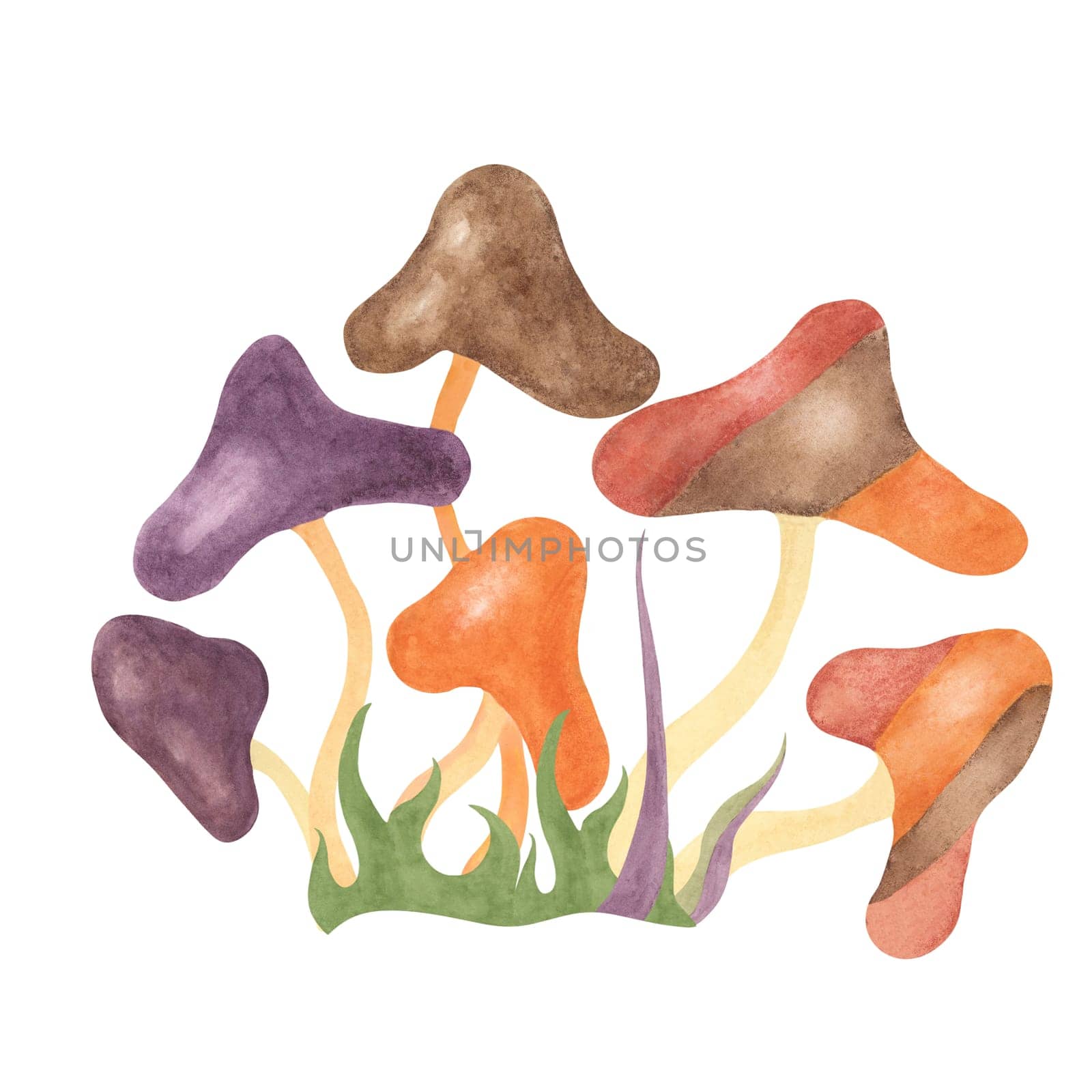 Retro hippie mushrooms and grass in 70s style. Hippie psychedelic groovy fungus cliparts. Watercolor groovy illustration for printing cartoon style by Fofito