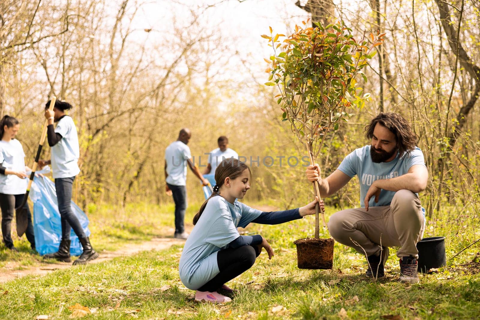Man and little girl team up and plant a tree together in the woods by DCStudio