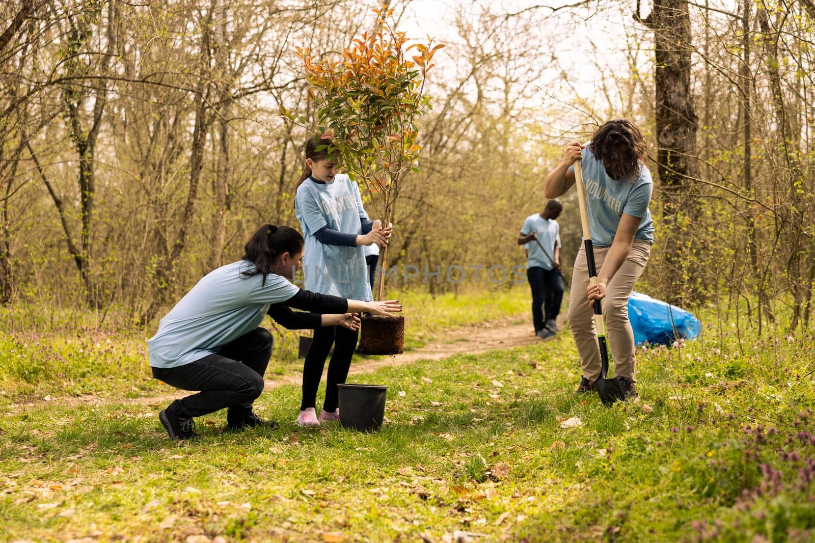 Team of activists planting trees around the woods area for nature preservation by DCStudio