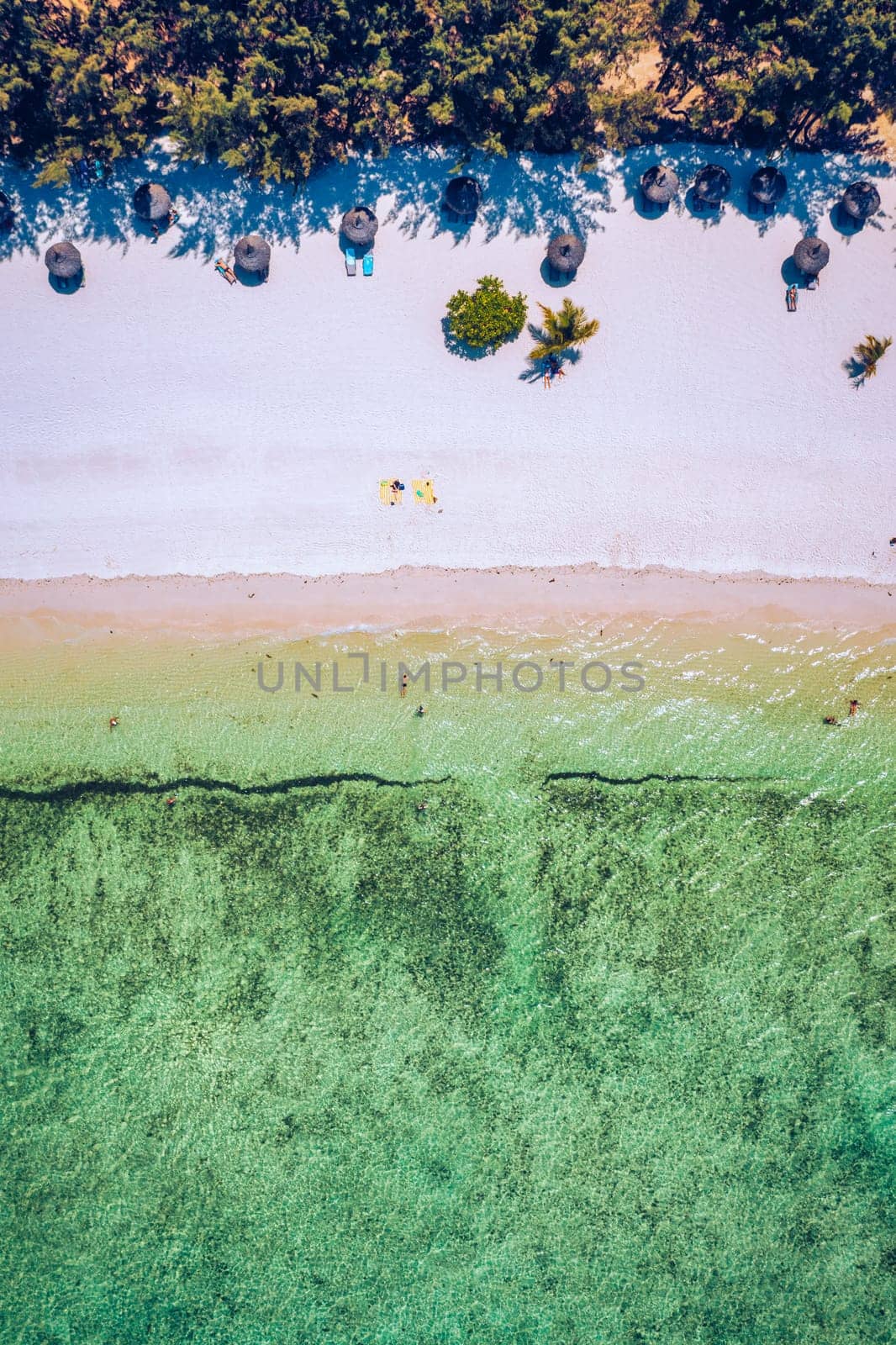 Ile aux Cerfs island with idyllic beach scene, aquamarine sea and soft sand, Ile aux Cerfs, Mauritius, Indian Ocean, Africa. Ile aux Cerf in Mauritius, beautiful water and breathtaking landscape. by DaLiu