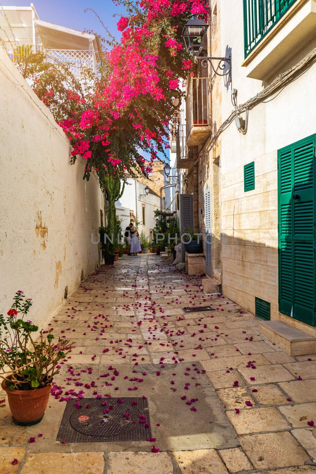 Spectacular cityscape of Polignano a Mare town, Puglia region, Italy, Europe. Polignano Al Mare, scenic small town in Puglia, Italy. Polignano a Mare village on the rocks, Bari, Apulia, Italy. 