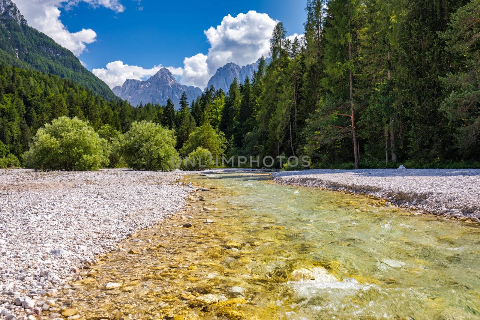 The Pisnica River in Kranjska Gora in the Upper Carniola region of north west Slovenia. It is a tributary of the Sava Dolinka River. Nature scenery in Triglav national park. Kranjska Gora, Slovenia by DaLiu