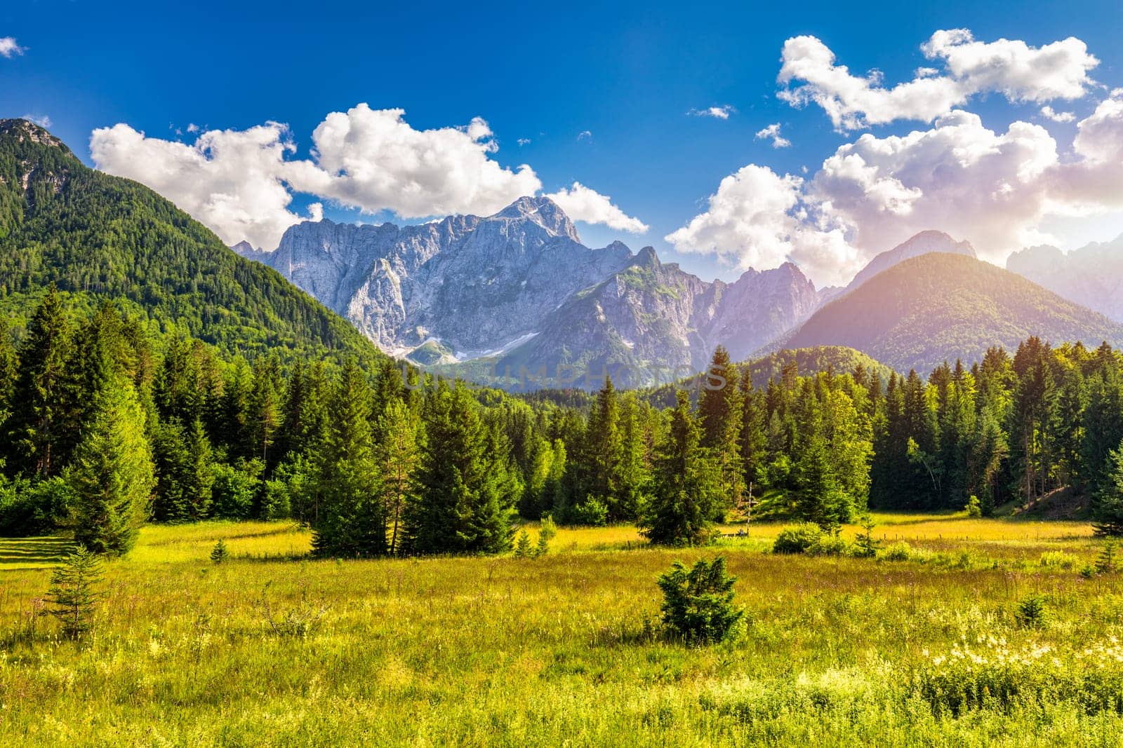 Valley in the Triglav National Park, Julian Alps, Slovenia. Julian Alps mountains, Slovenia, Europe.