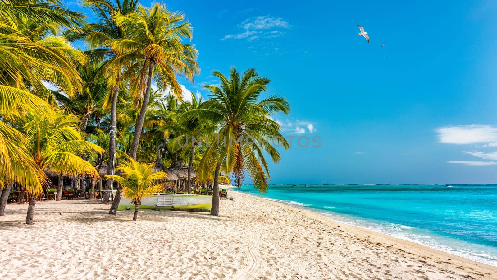 Paradise beach resort with palm trees and and tropical sea in Mauritius island. Summer vacation and tropical beach concept. Sandy beach with Le Morne beach on Mauritius island. Tropical landscape. by DaLiu