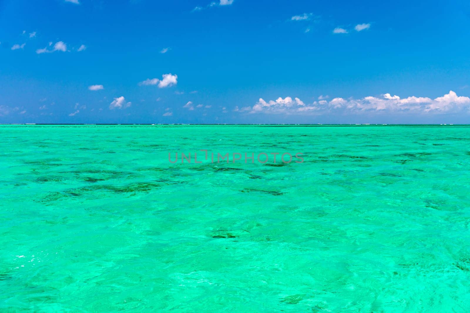 Water surface in vibrant green. View of a crystal clear sea water texture. View natural sea water, green background. Green water reflection. Green ocean wave. by DaLiu
