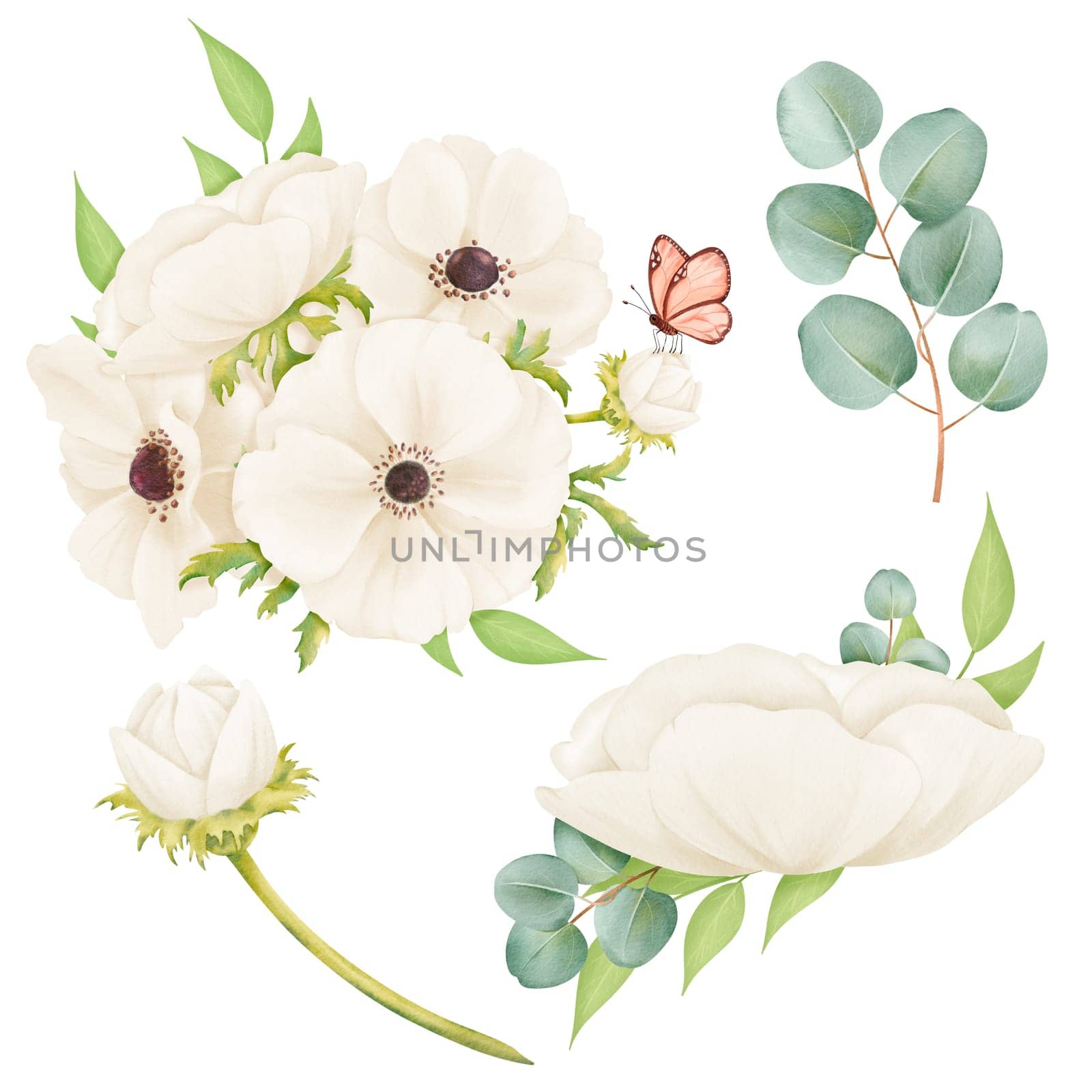 Watercolor set a bouquet of ivory anemones, a sprig of eucalyptus, boutonniere, and butterfly. Ideal for use in stationery, wedding invitations, greeting cards, backgrounds, and floral-themed designs by Art_Mari_Ka