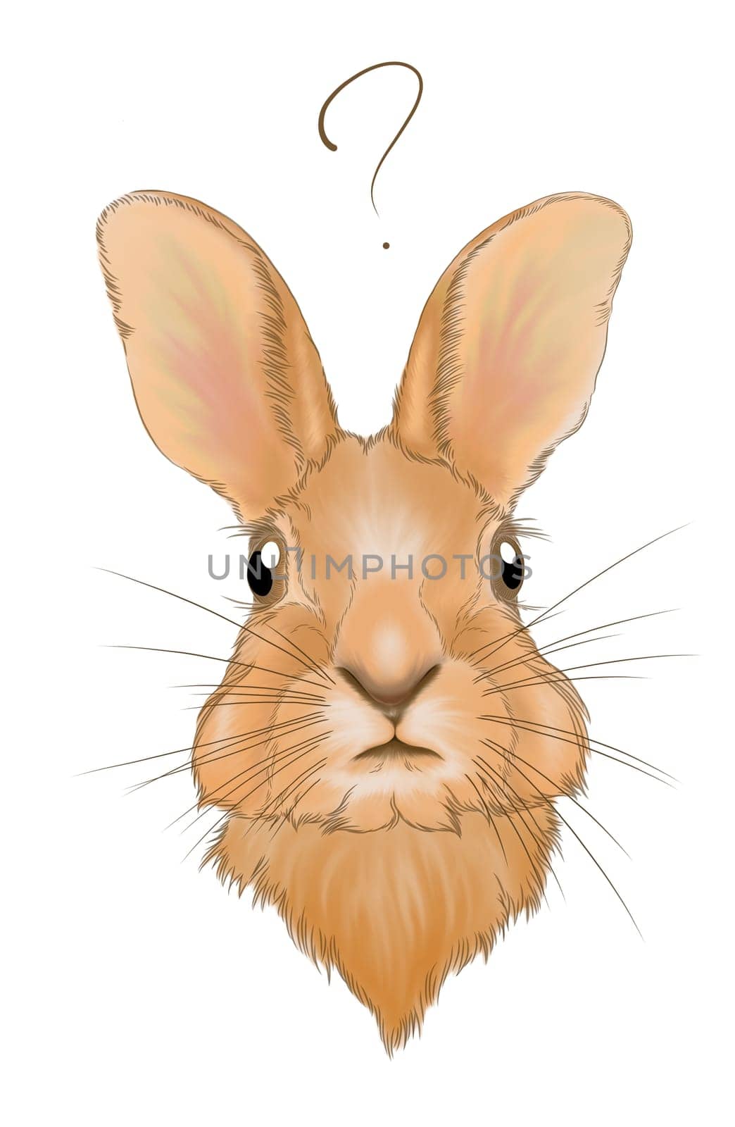 Digital painted "The expression of doubt set" The Rabbit