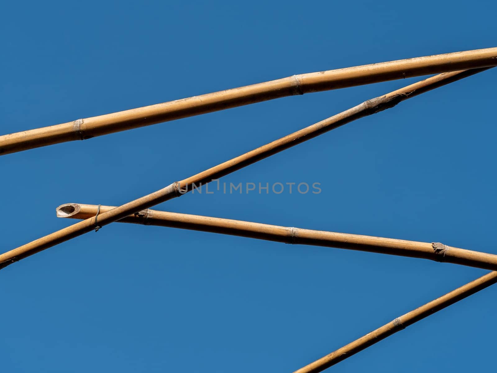 Hold the bamboo Trellis and wait for the creeper to climb up