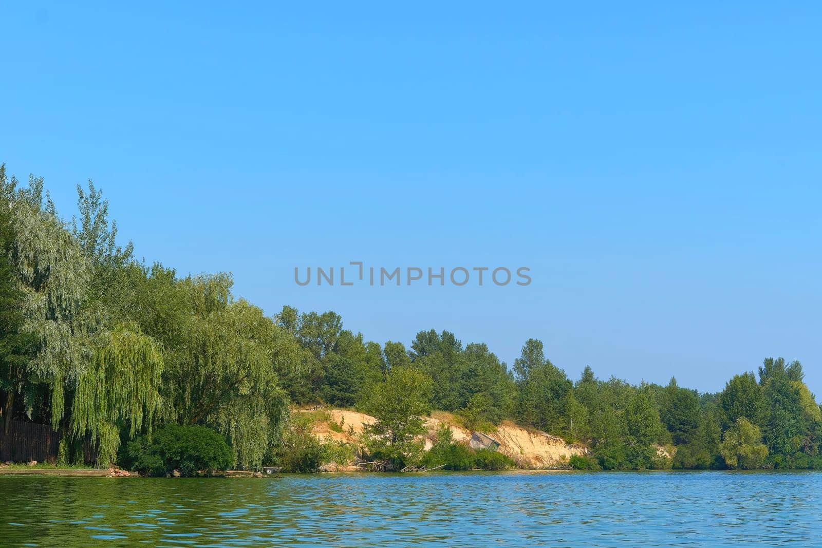 Wooded quiet bank of a calm summer river by jovani68