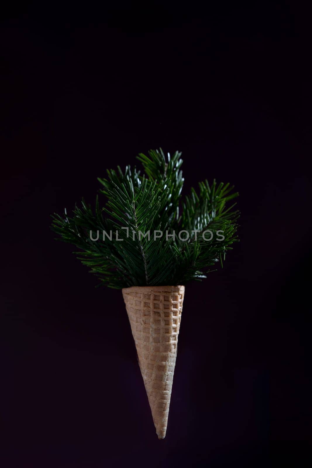 A cone shaped container with a green plant inside. The image has a dark background and a moody atmosphere