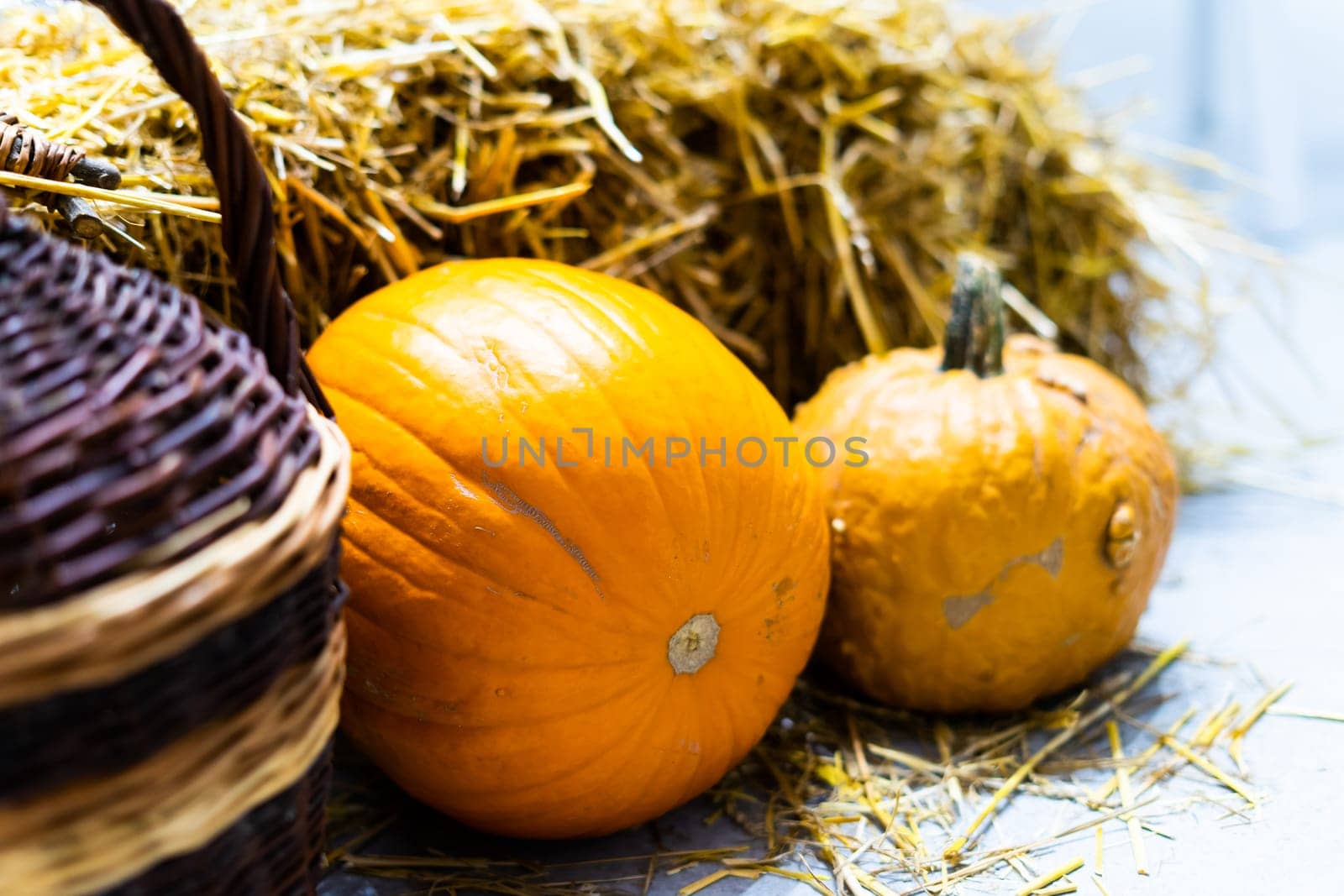 Orange halloween pumpkins on stack of hay or straw in sunny day, fall display by Zelenin