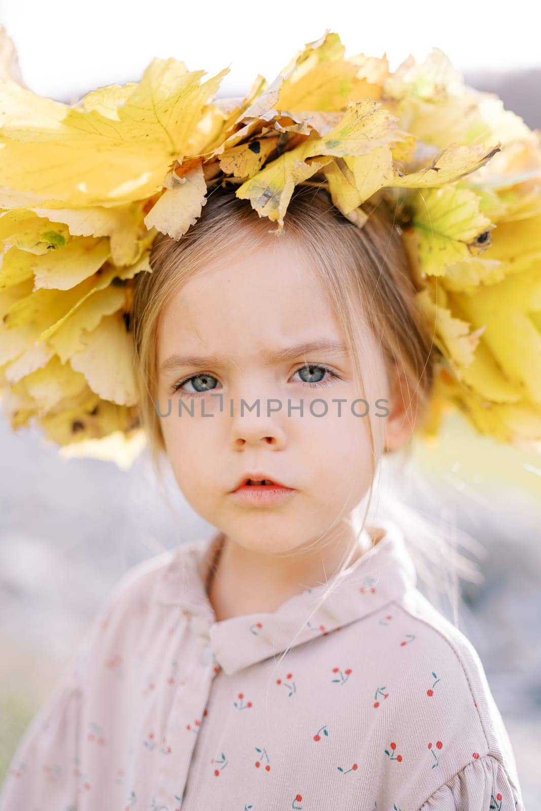 Little serious girl wearing a crown of yellow leaves. Portrait. High quality photo