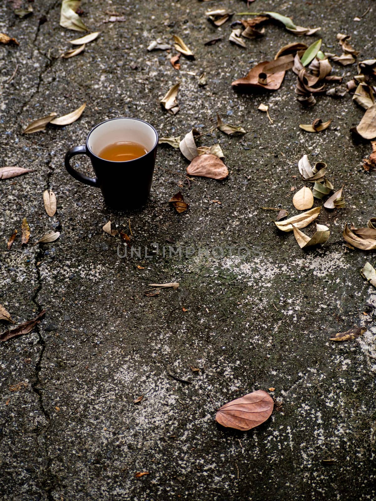 A cup of hot tea rests on the rough ground and fallen leaves by Satakorn