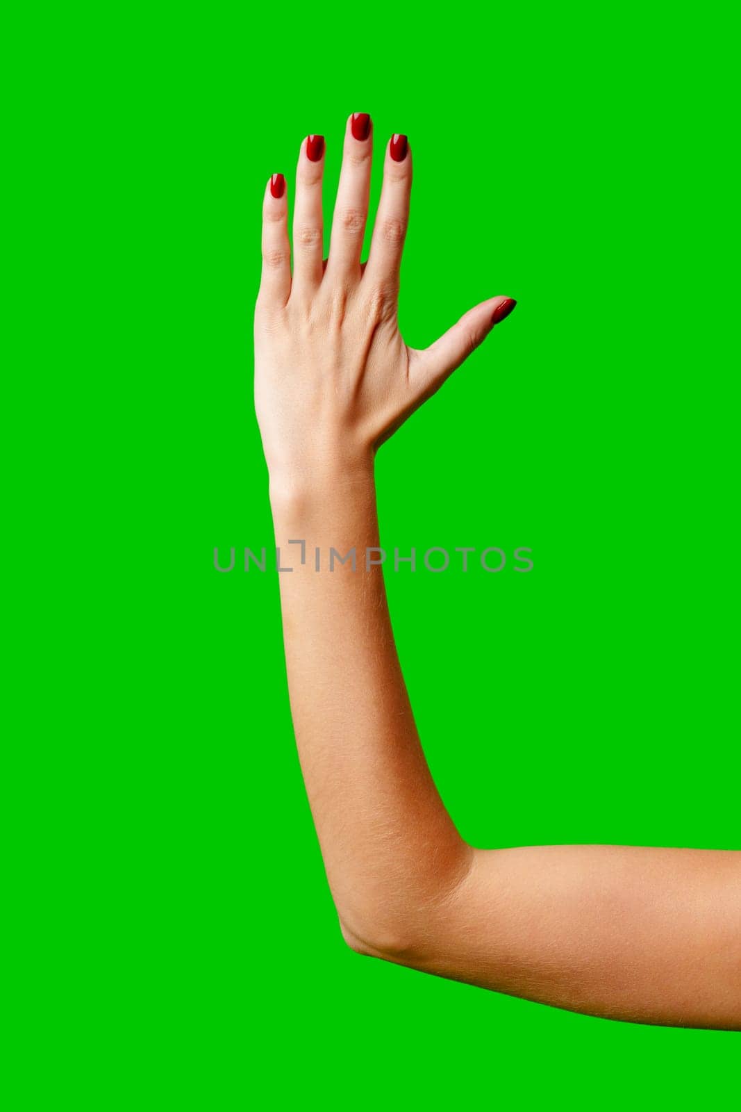 Womans Arm Hand Sign Raised in the Air by Fabrikasimf