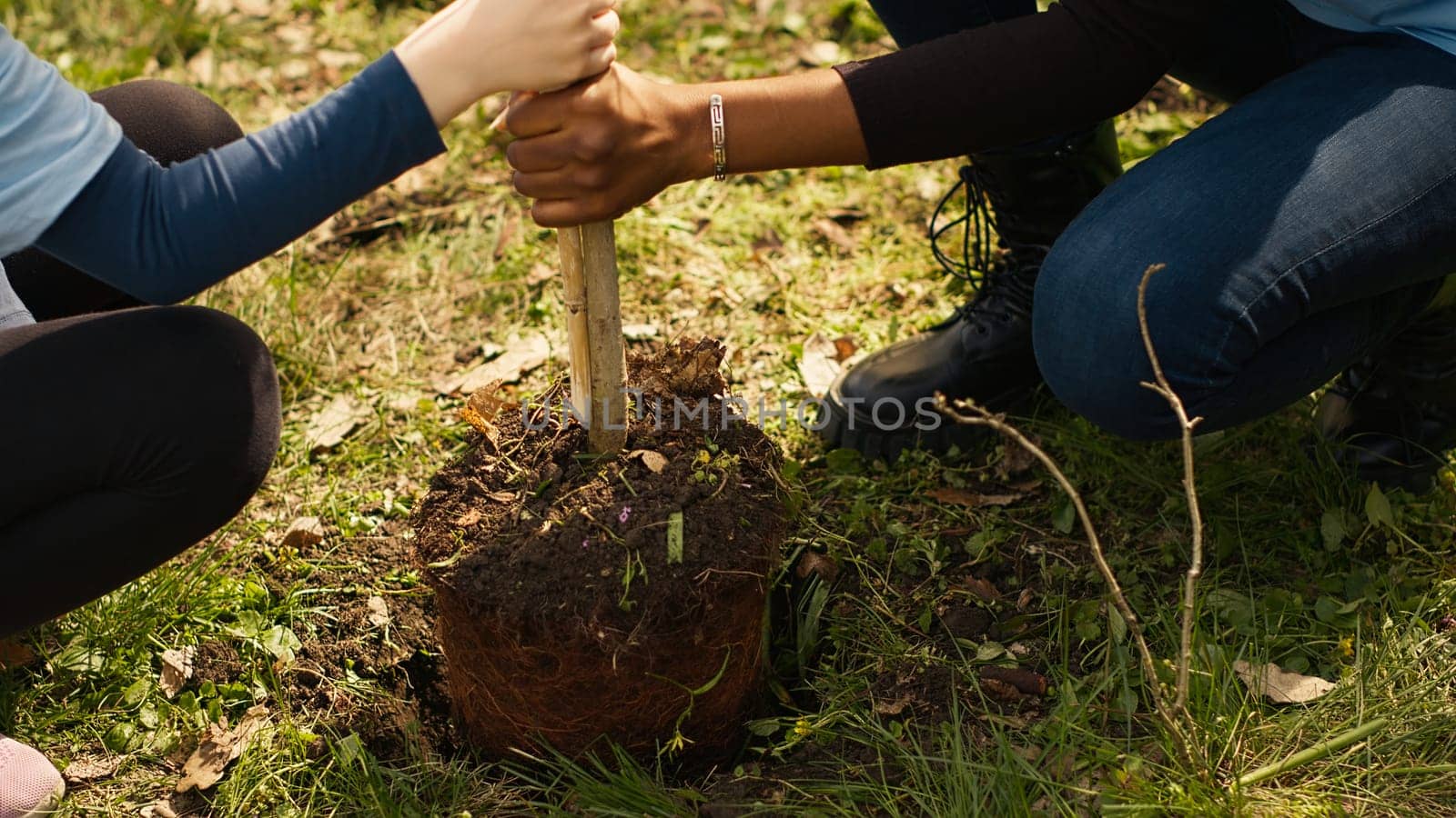 Child and her friend are planting a small tree in the woods by DCStudio