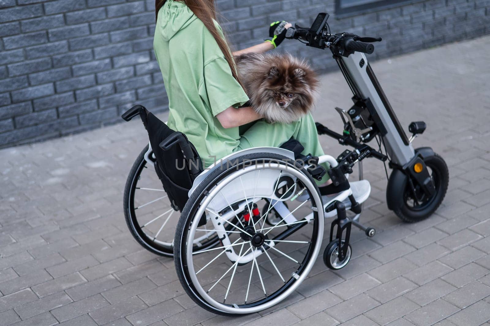 A woman in a wheelchair with a hand-control assist device carries a Spitz merle dog. Electric handbike. by mrwed54